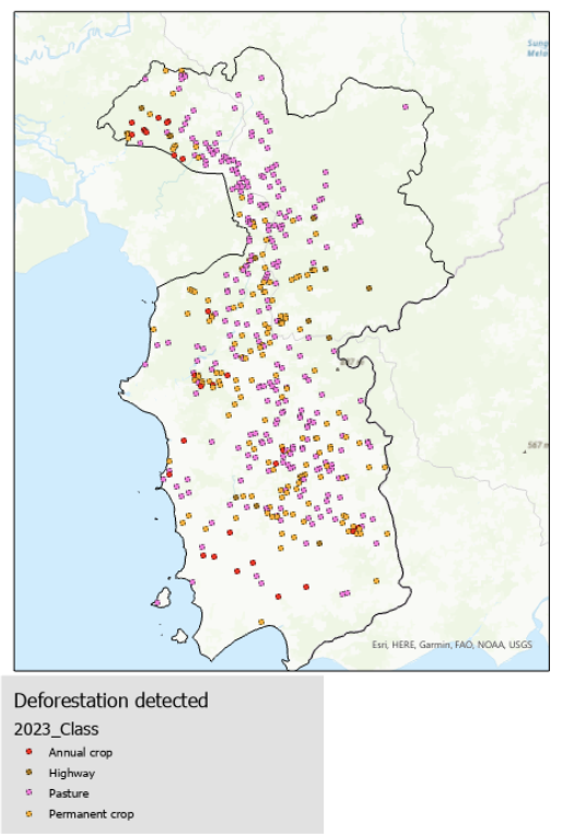 Map of where the algorithm flagged as deforestated.